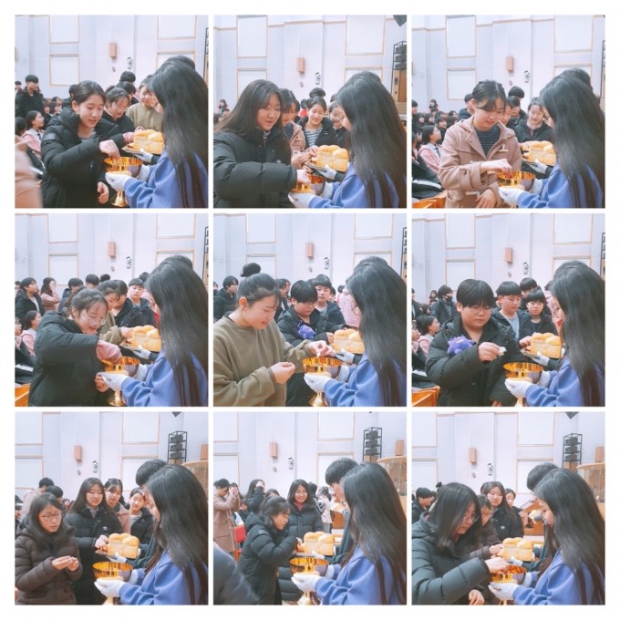 3EBAFB7F-1183-44EB-A8CB-041C77F848A8-COLLAGE.JPG